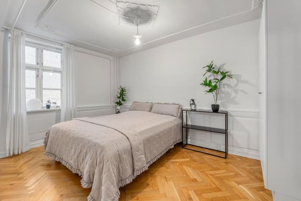 Apartment Og Charmerende